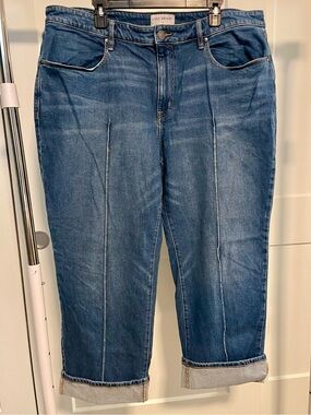 Lane Bryant Signature Fit Mid-Rise Relaxed Straight Jeans Size 18 Short